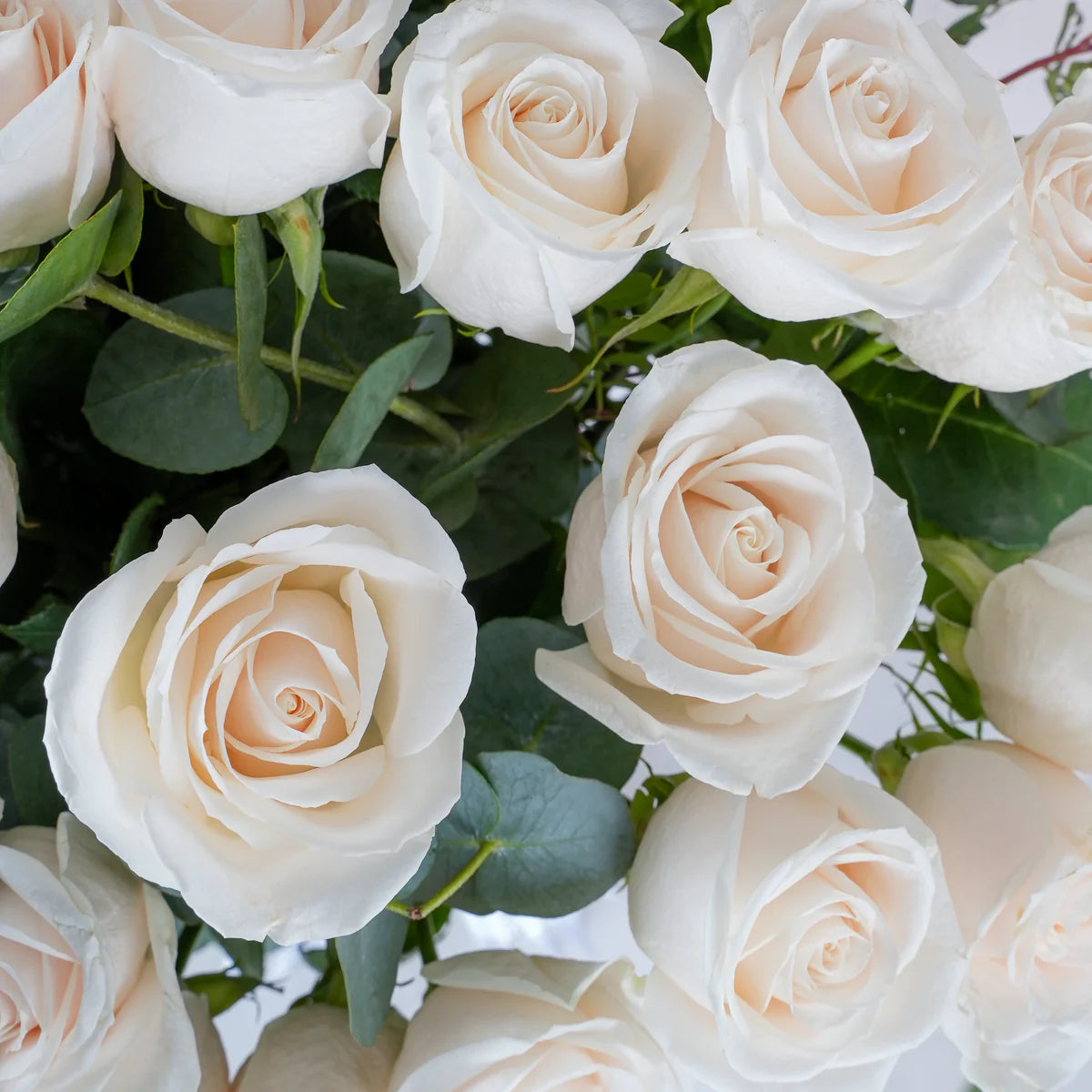 Elegant white rose vase arrangement – premium flower delivery in Lahore