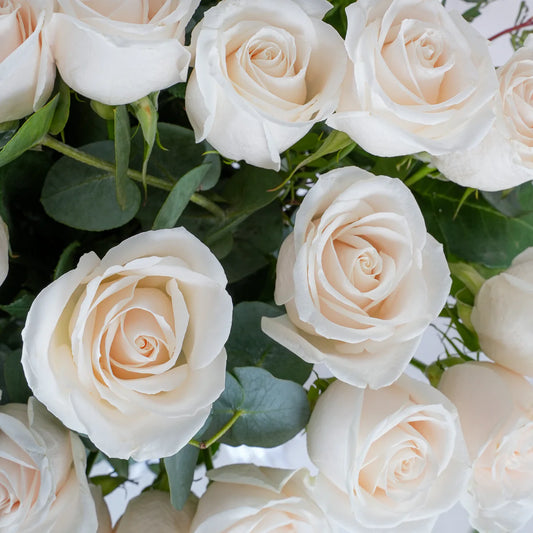 Elegant white rose vase arrangement – premium flower delivery in Lahore