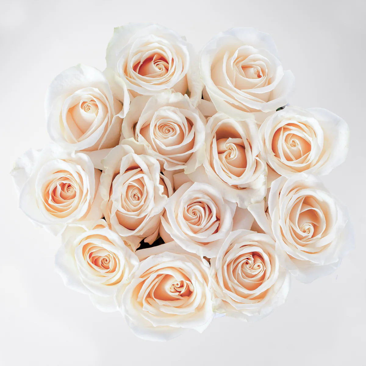 Pearl Serenity luxury hatbox with fresh white roses, available for flower delivery in Lahore