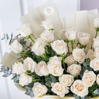 50 white roses bouquet in elegant wrapping – luxury floral arrangement for gifting