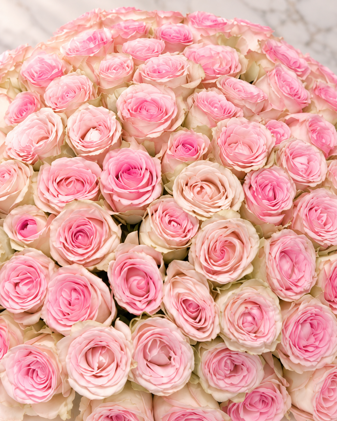 100 Pink Roses