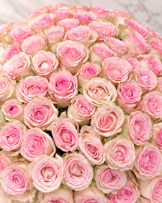 100 Pink Roses