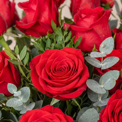 Forever Crimson Vase