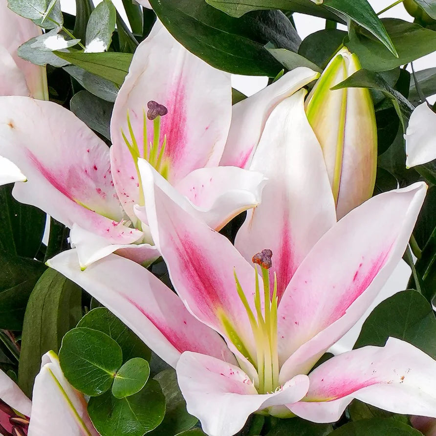 Pink Lily Bloom Vase