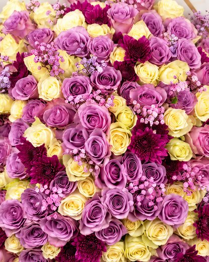 Royal orchid bloom