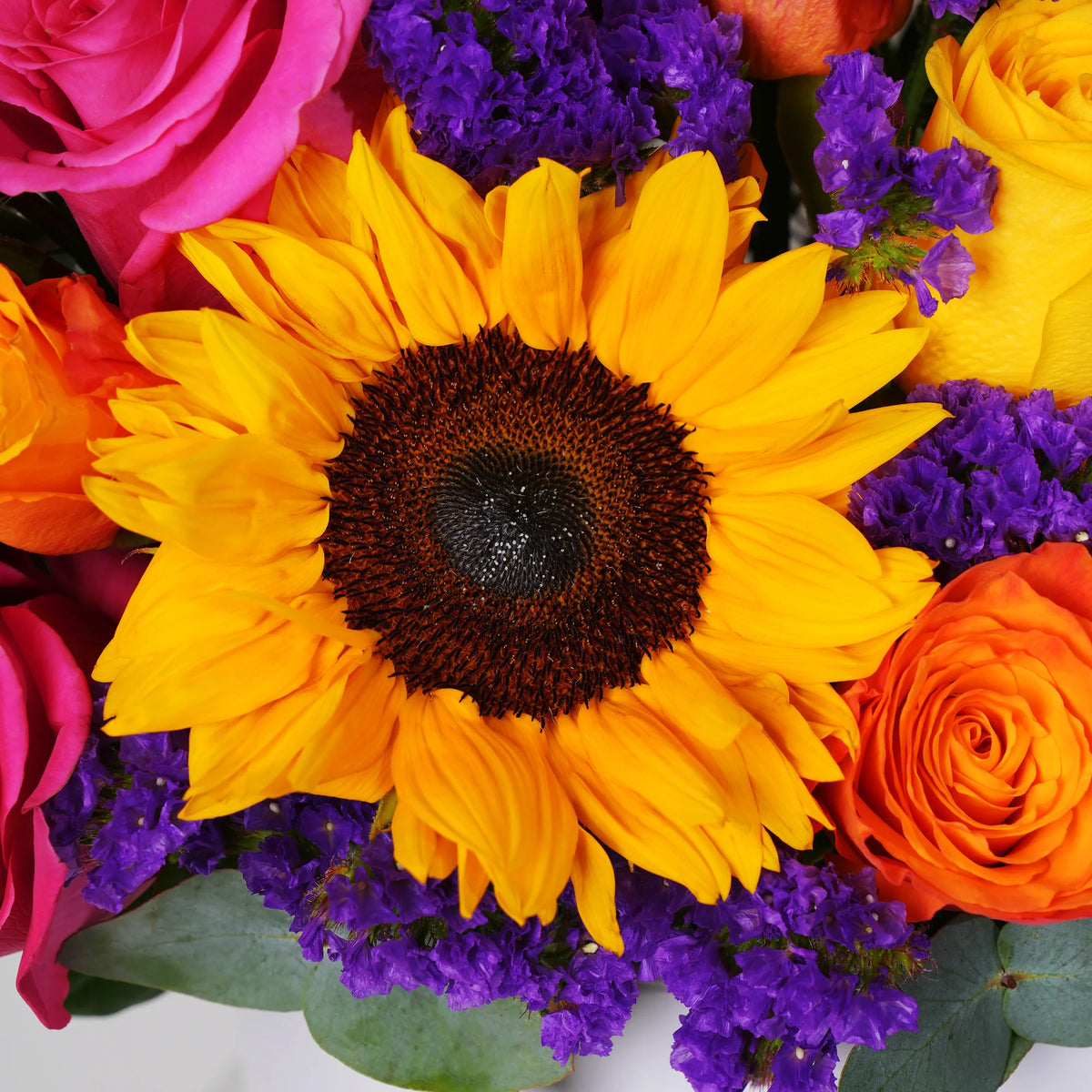 Radiance Hatbox