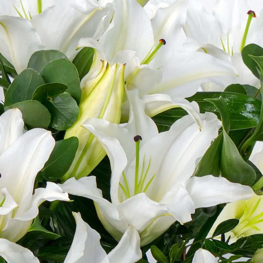 The Purity Vase