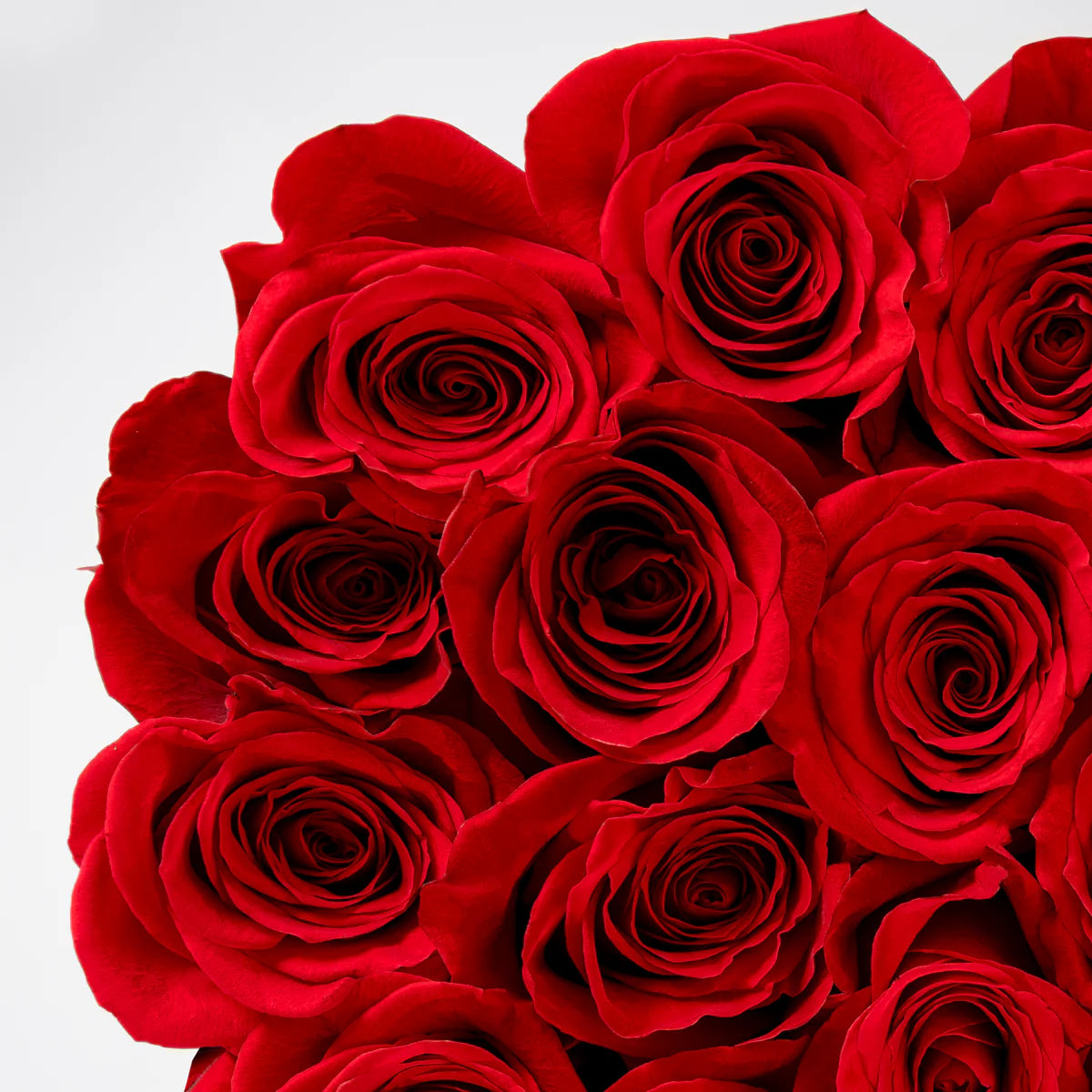 Crimson Amour luxury hatbox with fresh red roses, available for flower delivery in Lahore