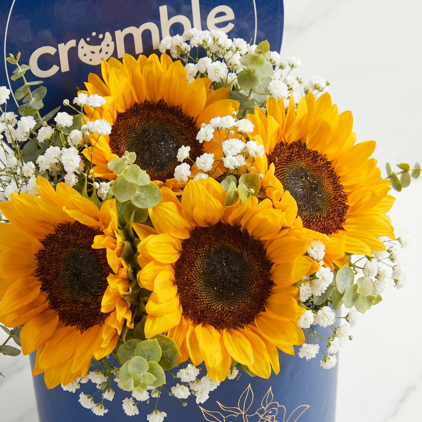 Soleil Hatbox