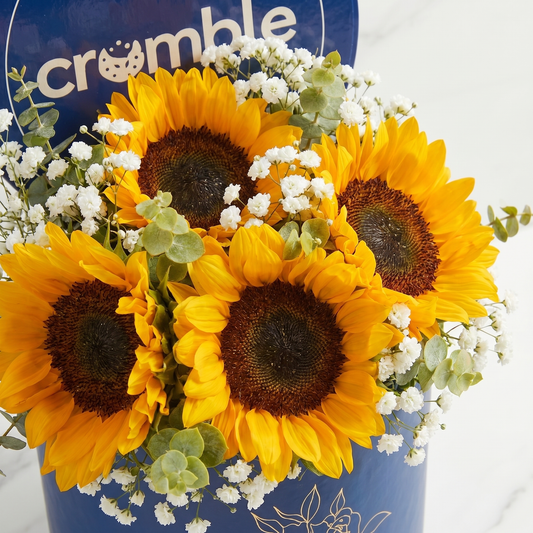 Soleil Hatbox