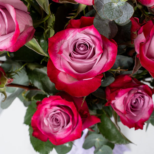 25 fresh purple roses arranged in a luxury vase – premium flower delivery in Lahore