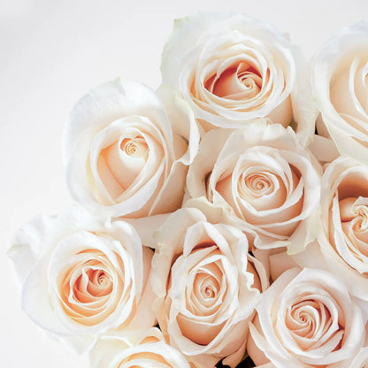 Pearl Serenity luxury hatbox with fresh white roses, available for flower delivery in Lahore