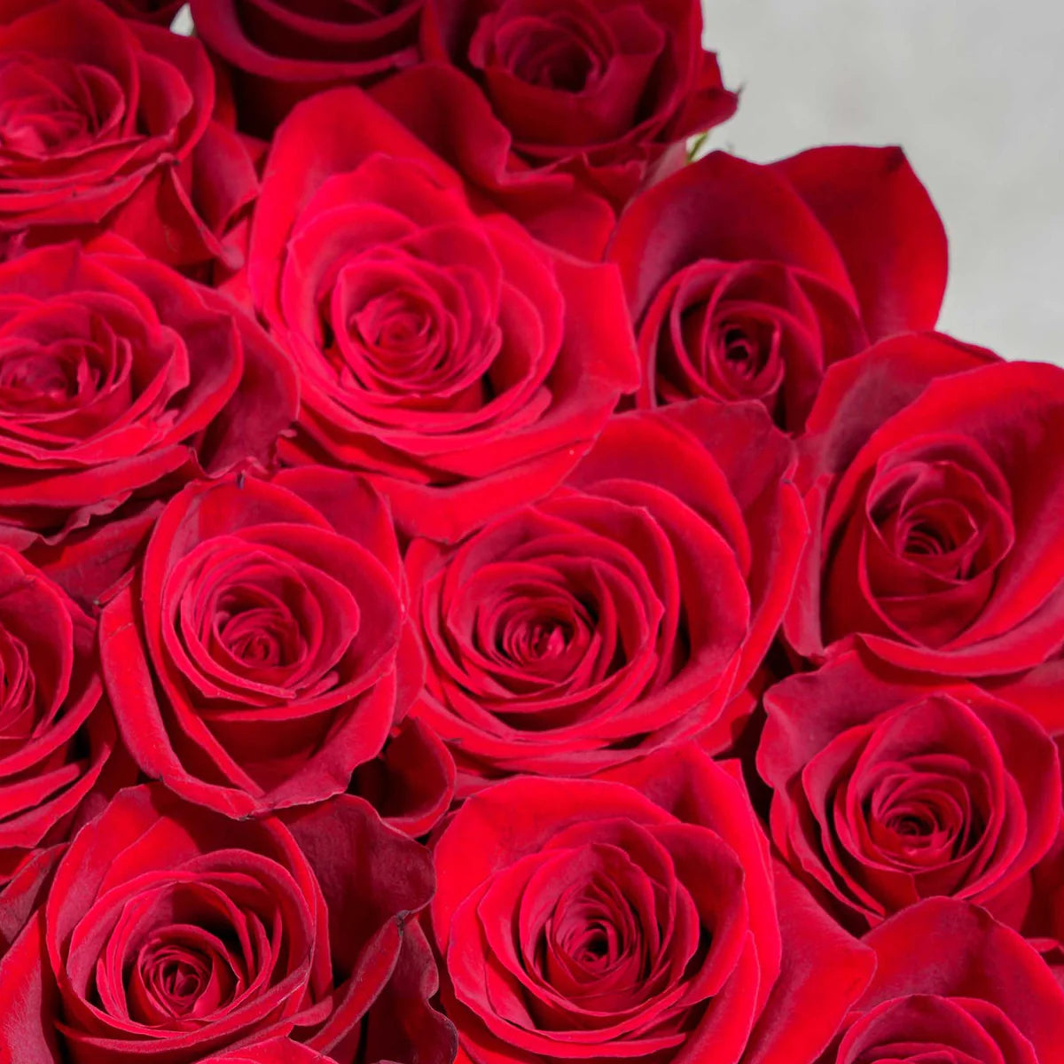 Romantic red rose heart box with 25 fresh roses – Valentine’s Day flower delivery in Lahore