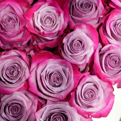 20-25 fresh purple roses arranged in a heart-shaped box for Valentine’s Day delivery in Lahore